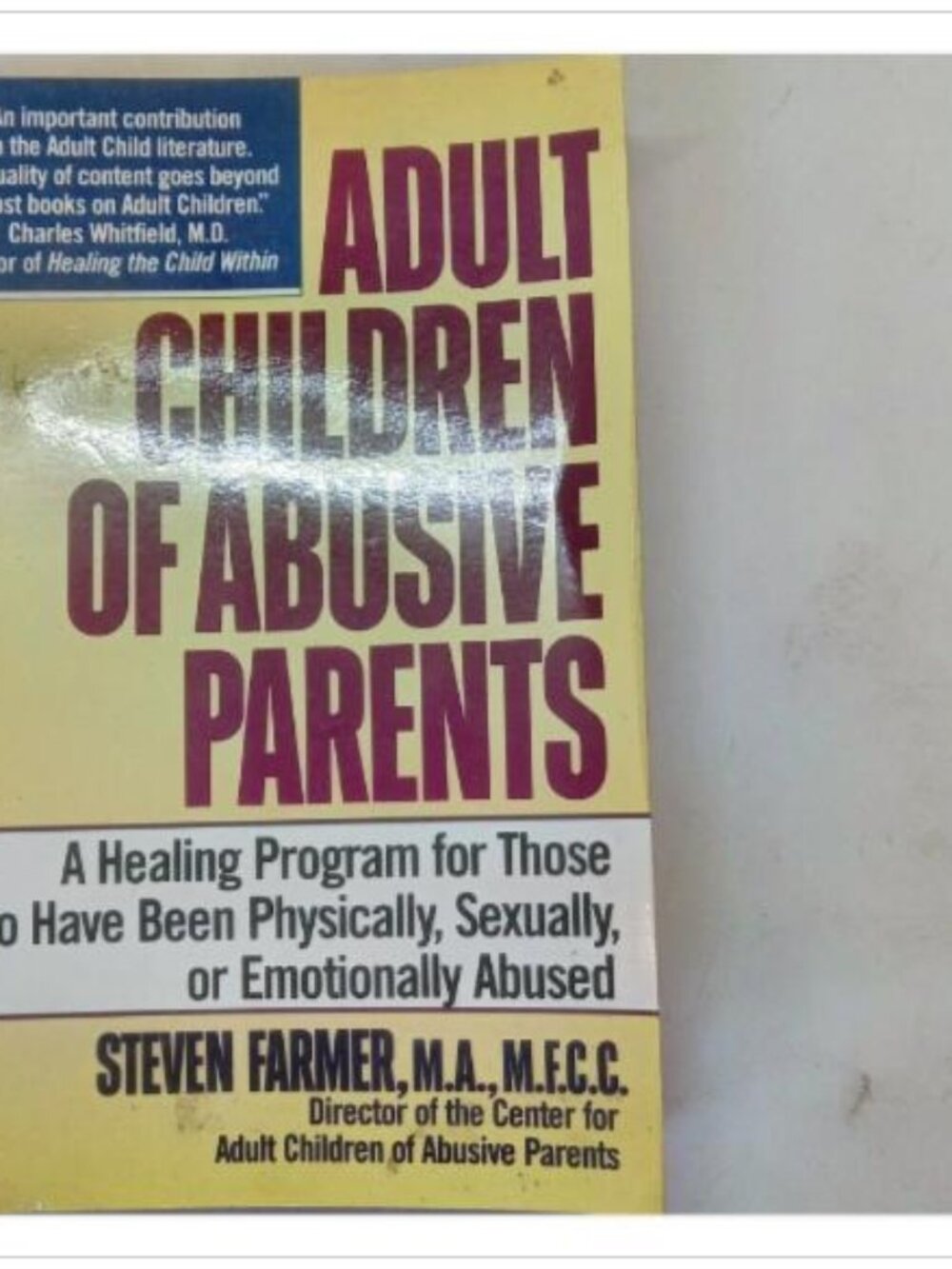 Adult Children of Abusive Parents A Healing Program Ballantine 1990 PB